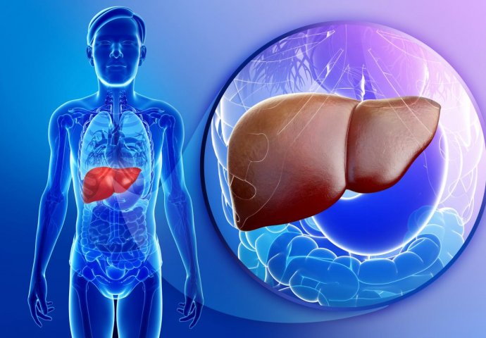 OBRATITE PAŽNJU: Ovo su načešći uzroci masne jetre!