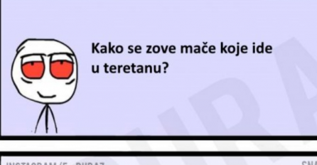 E buraz, kako se zove mače koje ide u teretanu?