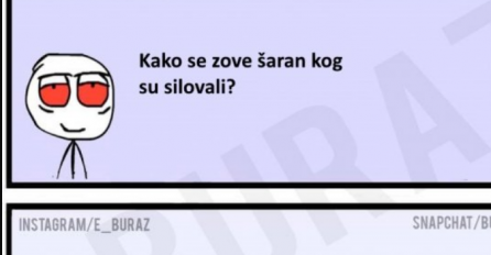 E buraz, kako se zove šaran kog su silovali?