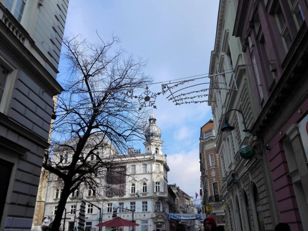 25829754-1204242619709217-638425465-o