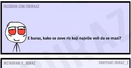 E buraz, kako se zove ris koji najviše voli da se mazi?