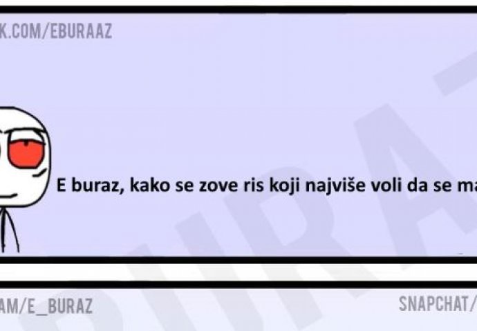 E buraz, kako se zove ris koji najviše voli da se mazi?