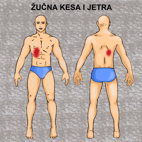 boli-vas-noga-proverite-bubrege-evo-na-koje-ozbiljne-bolesti-ukazuju-ovi-bolovi-u-telu-19-12-17-1