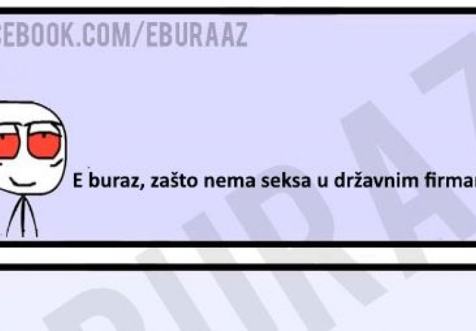 E buraz, zašto nema seksa u državnim firmama?