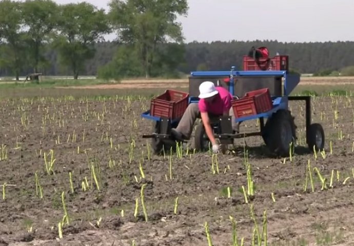 NA OVOM POSLU JE DNEVNICA ČAK 150 EURA, ali većina ga izbjegava ZBOG JEDNOG RAZLOGA