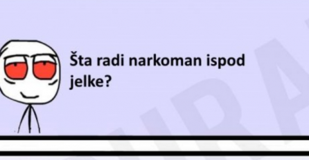 E buraz, šta radi narkoman ispod jelke?