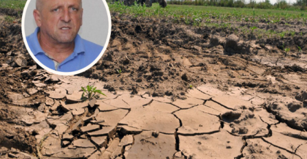 POLJOPRIVREDNICI O AKCIZAMA/ NEDŽAD BIĆO ZA NOVI.BA: Ako se bude pitala ova Vlada i ova vlast, ne piše nam se dobro 