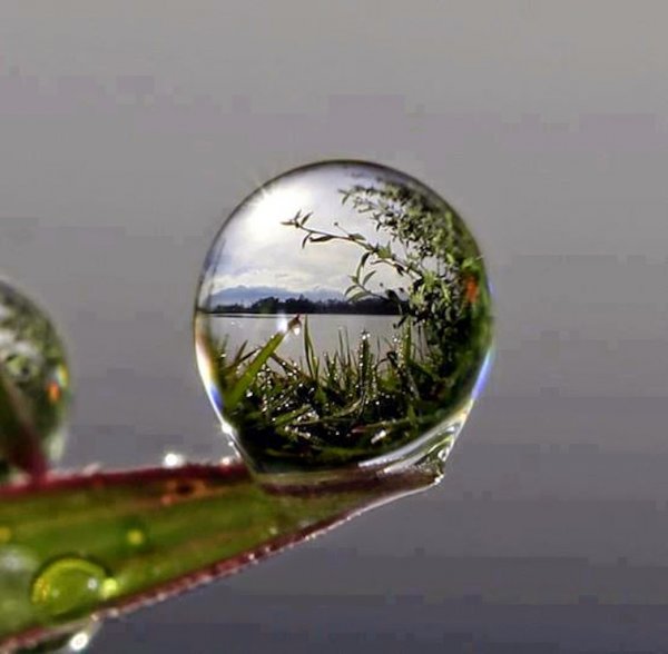 inside-a-water-droplet