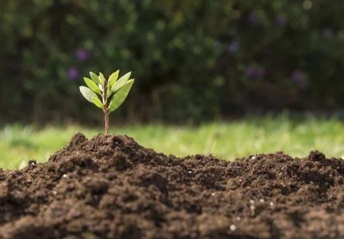 ŠTA POSLJEDNJA CIFRA GODINE ROĐENJA OTKRIVA O VAMA ? (FOTO)