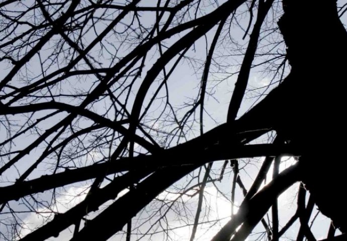 Prvog dana 2018. godine najhladniji Sokolac, najtopliji Bihać