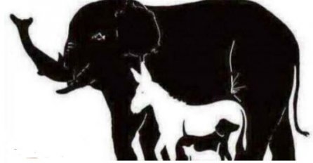 MOŽETE LI DA PRONAĐETE SVE ŽIVOTINJE NA SLICI ? (FOTO)