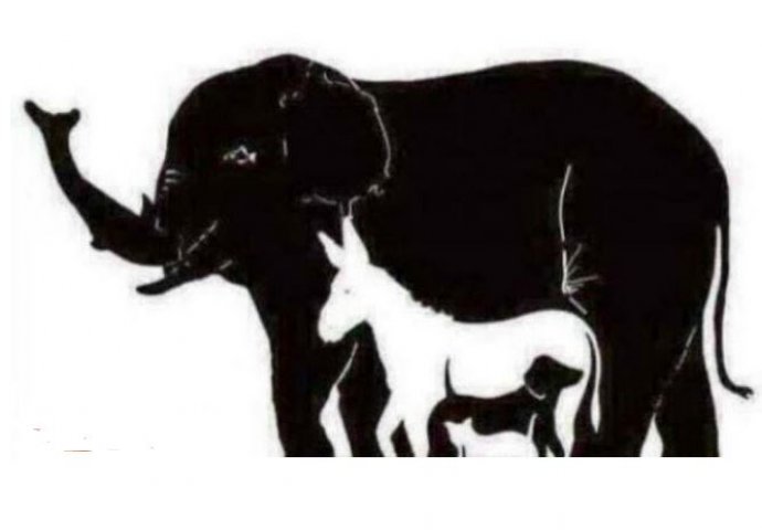 MOŽETE LI DA PRONAĐETE SVE ŽIVOTINJE NA SLICI ? (FOTO)