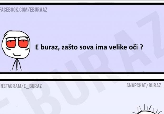 E buraz, zašto sova ima velike oči ?