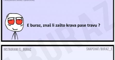 E buraz, znaš li zašto krava pase travu ?