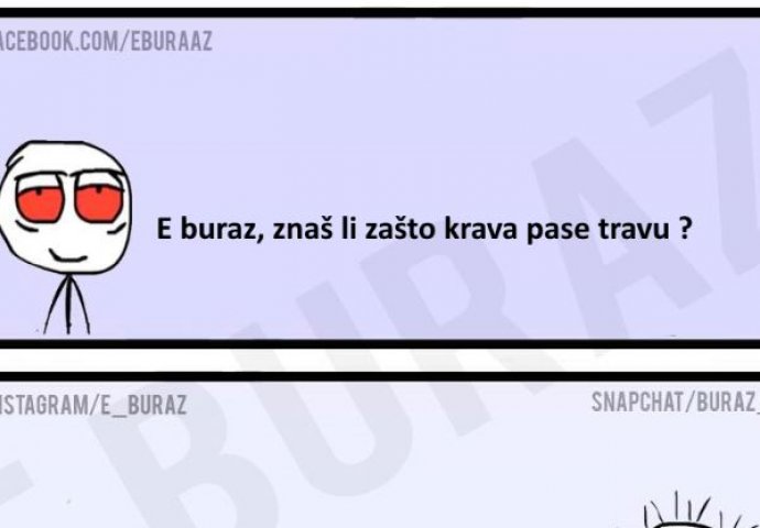 E buraz, znaš li zašto krava pase travu ?