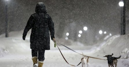 OGLASIO SE METEOROLOG KOJI 26 GODINA NIJE PROMAŠIO: Mravinjak pokazuje kakva nas zima čeka, a evo šta kaže za ovu!