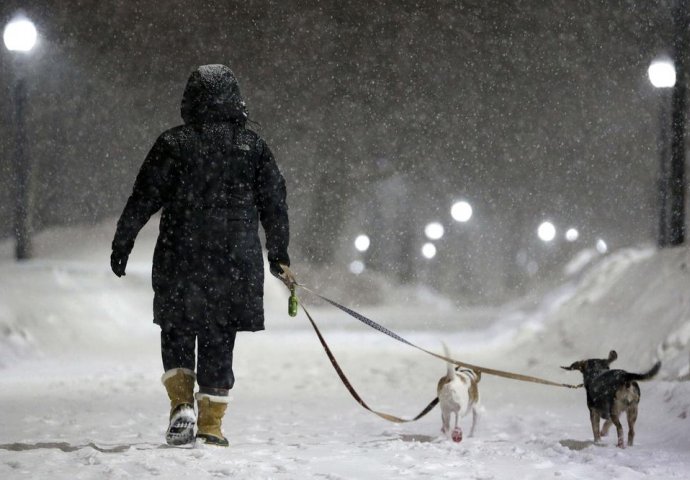 OGLASIO SE METEOROLOG KOJI 26 GODINA NIJE PROMAŠIO: Mravinjak pokazuje kakva nas zima čeka, a evo šta kaže za ovu!