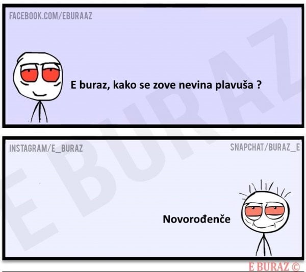 plavusvic