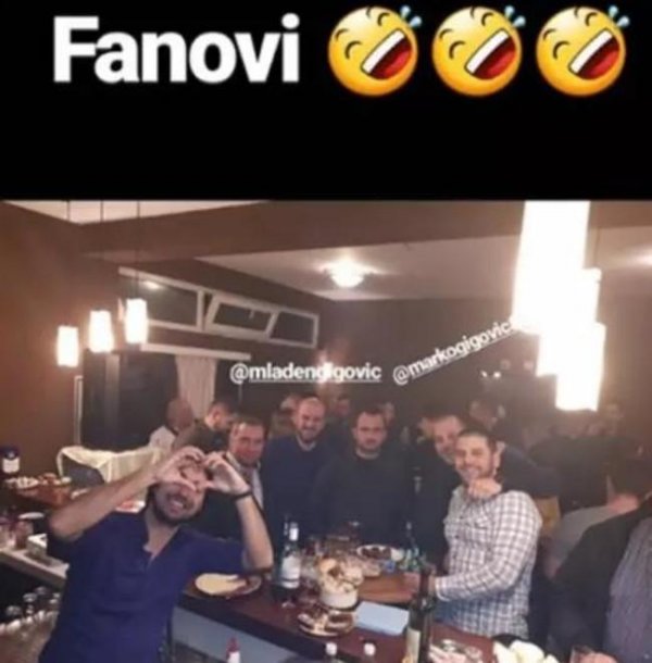 fanovi