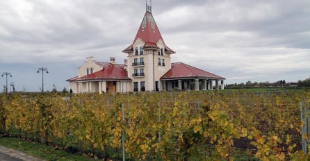 DANAS PUNI 76. godina, a ovo je DVORAC poznatog muzičara koji VRIJEDI PRAVO BOGATSTVO! (FOTO)