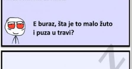 E buraz, šta je to malo žuto i puza u travi ?