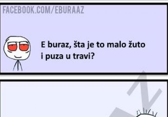 E buraz, šta je to malo žuto i puza u travi ?