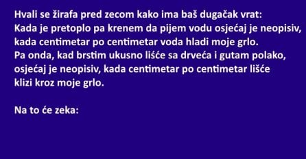 VIC: Hvali se žirafa pred zecom kako ima baš dugačak vrat