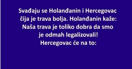 VIC: Svađaju se holanđanin i hercegovac čija je trava bolja !