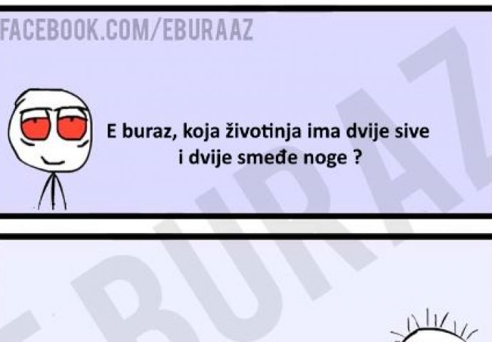 E buraz, koja životinja ima dvije sive i dvije smeđe noge ?