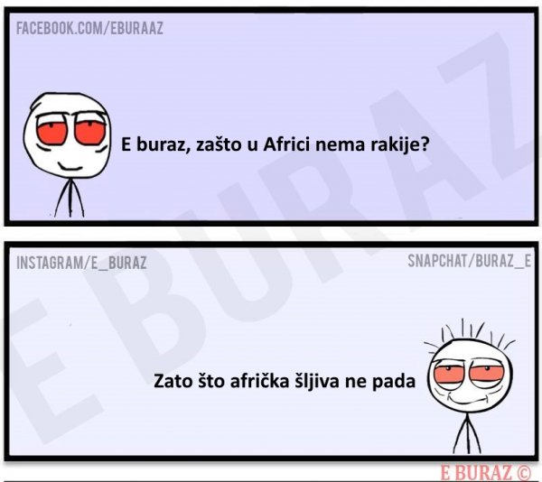 africkasljiva