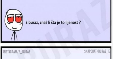 E buraz, znaš li šta je to lijenost?