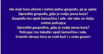 VIC: Ide mali Ivica ulicom i sretne jednu gospođu, pa je upita: