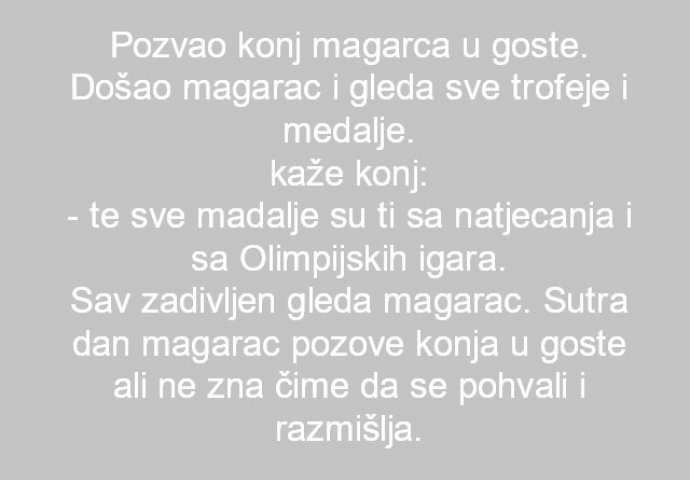 Pozvao konj magarca u goste...