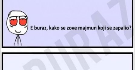 E buraz, kako se zove majmun koji se zapalio?