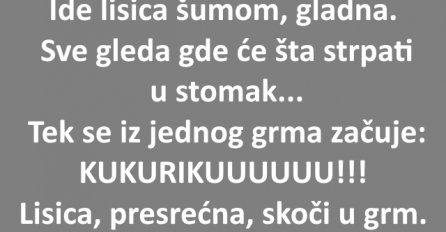 VIC: Ide lisica šumom, gladna. Sve gleda..