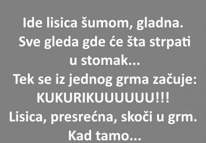 VIC: Ide lisica šumom, gladna. Sve gleda..