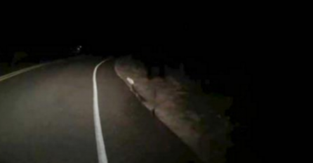 Vozio se po noći cestom, a onda vidio nešto što će dugo pamtiti: OVAKO NEŠTO NIKADA NISAM VIDIO! (VIDEO)