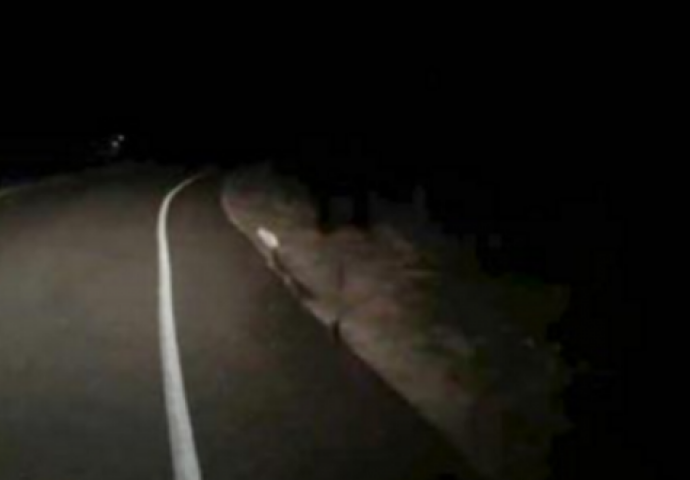 Vozio se po noći cestom, a onda vidio nešto što će dugo pamtiti: OVAKO NEŠTO NIKADA NISAM VIDIO! (VIDEO)