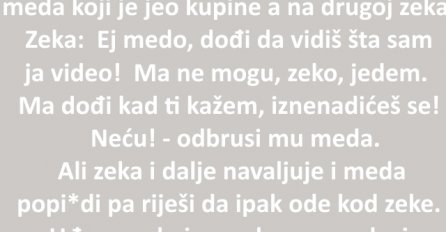 VIC: Na nekoj reci, na jednoj obali je bio meda koji je jeo kupine a na drugoj zeka.