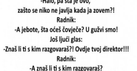 VIC: Direktor i radnik...