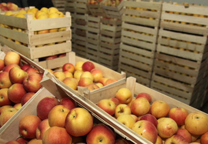 Ministarstvo poljoprivrede RS: Sankcije odgovornim za propuste kod izvoza jabuka