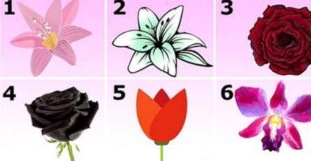 Koji cvijet vam je najprivlačniji: Odaberite jedan i saznat ćete zapanjujuću tajnu svog karaktera!