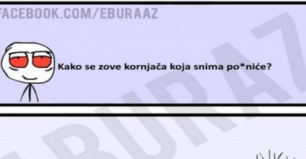 E buraz, kako se zove kornjača koja snima po*niće?