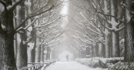 LEDENI HAOS PARALISAO ZEMLJU: Snježna oluja lomi sve pred sobom, potpuni kolaps