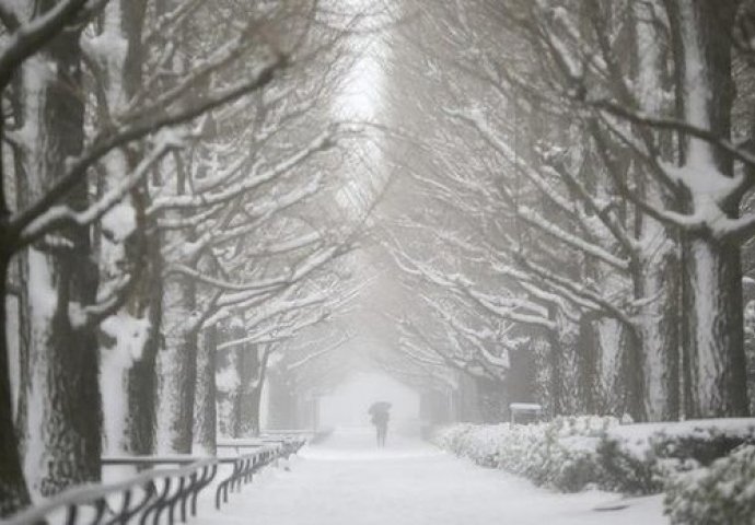 LEDENI HAOS PARALISAO ZEMLJU: Snježna oluja lomi sve pred sobom, potpuni kolaps