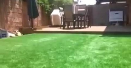 GENIJALNO: Izgleda kao običan travnjak, ali kada vidite šta se KRIJE ispod njega OSTAT ĆETE BEZ DAHA! (VIDEO)