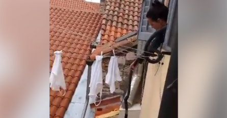 PRIZOR KOJI JE NASMIJAO INTERNET: Vjetar im odnio ručnik na krov, a one su odlučile pošto-poto doći do njega (VIDEO)