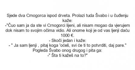 VIC: Sjede dva crnogorca ispod drveta