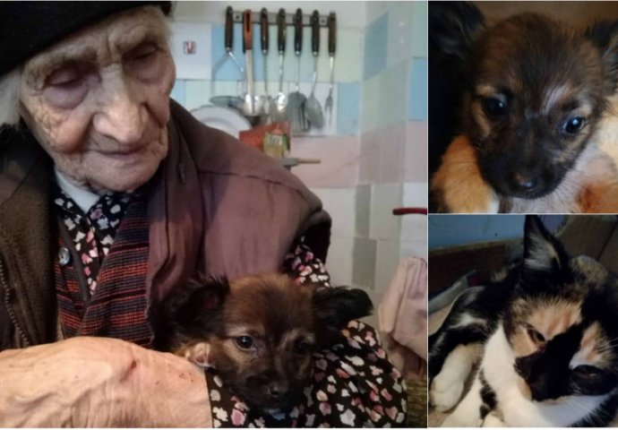 Ovo je baka Savka, živi u Slavonskom Brodu i s 97 godina i 600 kuna penzije neumorno spašava životinje s ceste