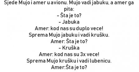 VIC: Sjede Mujo i amer u avionu.